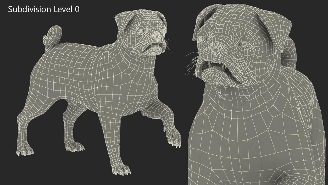 3D Pug Dog Fur Rigged model