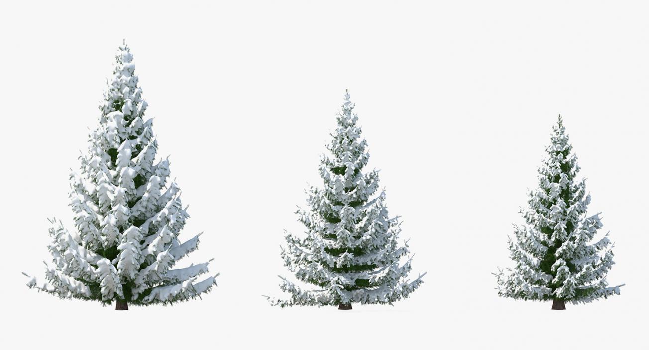 3D model Spruce in Snow Collection