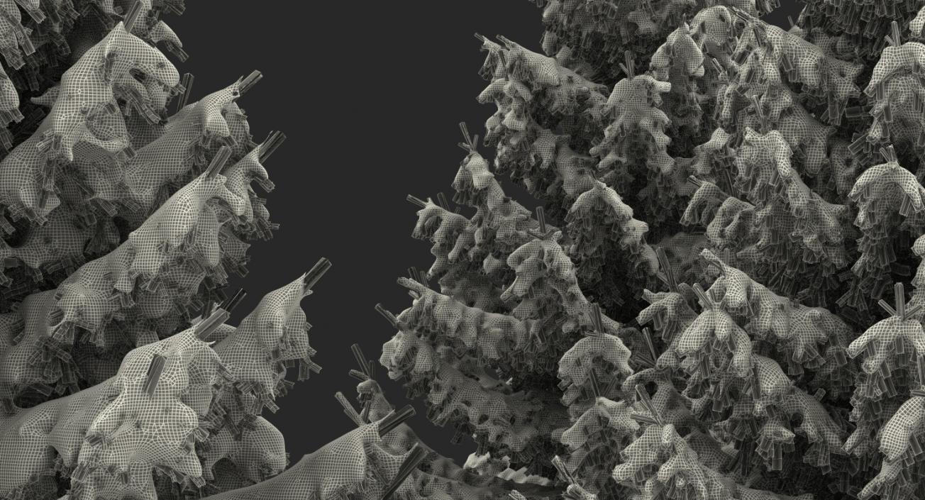 3D model Spruce in Snow Collection