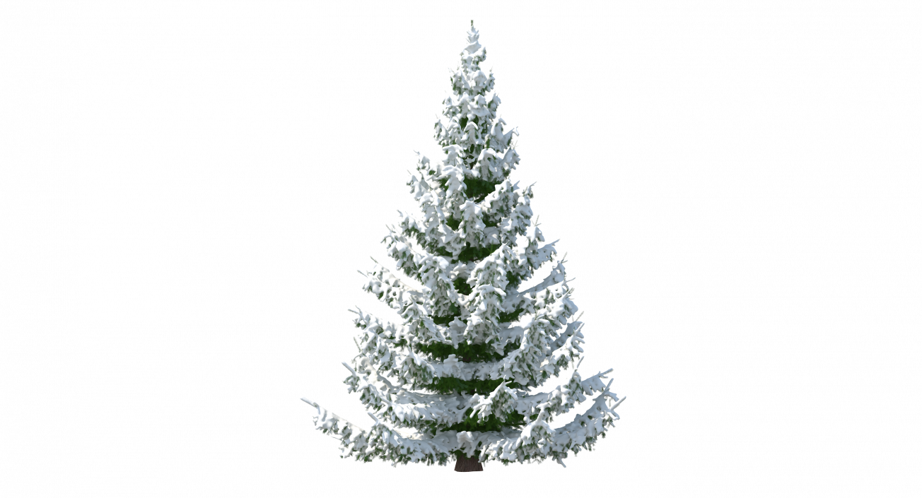 3D model Spruce in Snow Collection