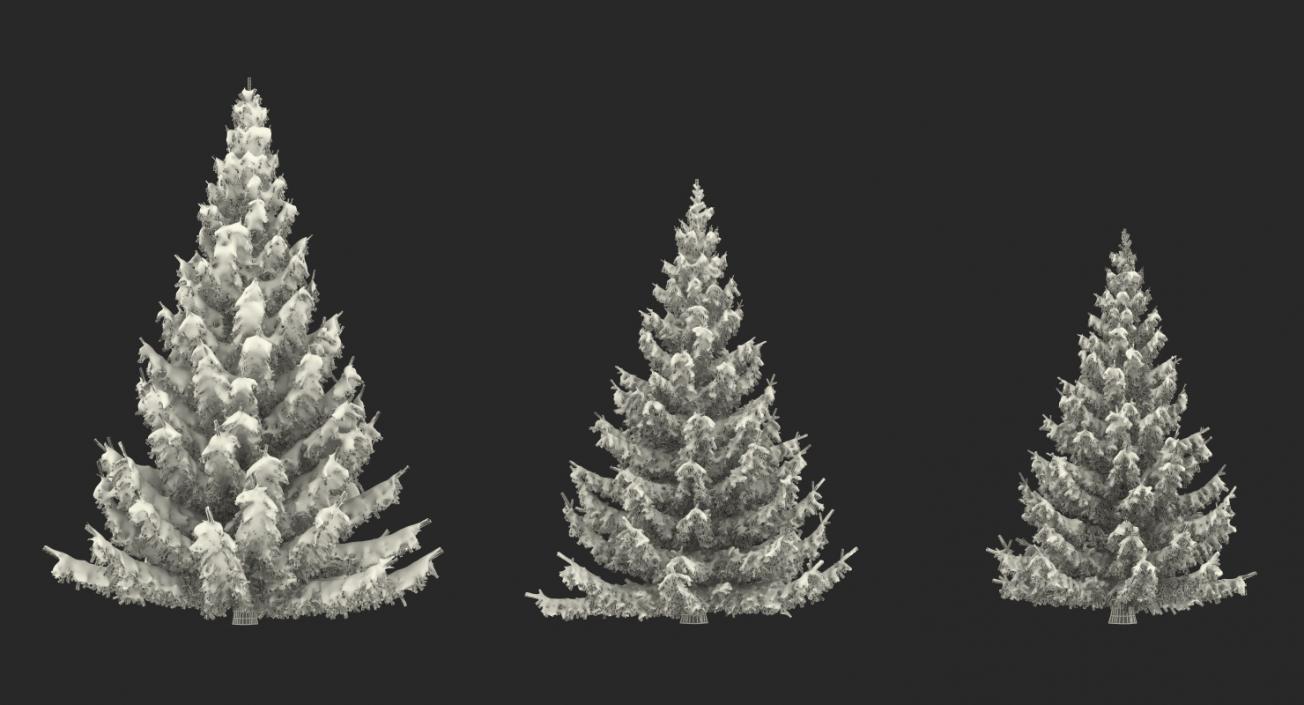 3D model Spruce in Snow Collection