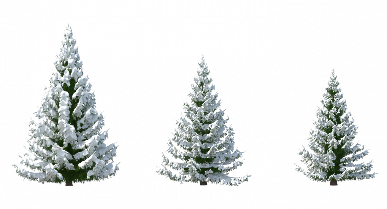 3D model Spruce in Snow Collection