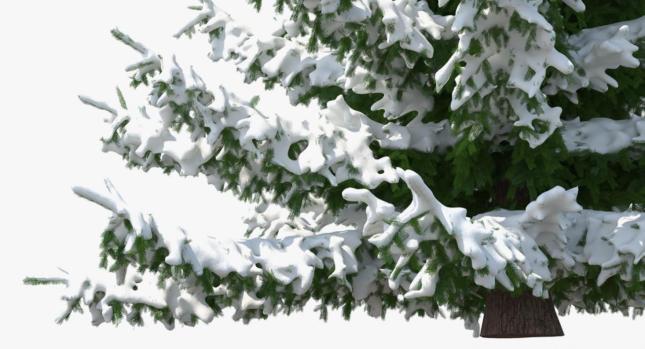 3D model Spruce in Snow Collection