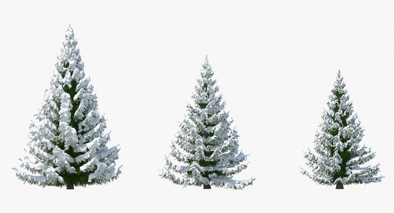 3D model Spruce in Snow Collection