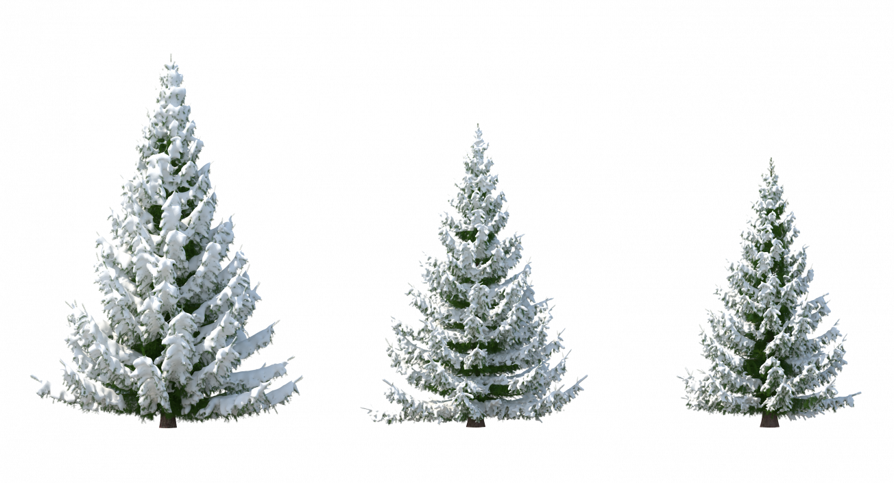 3D model Spruce in Snow Collection