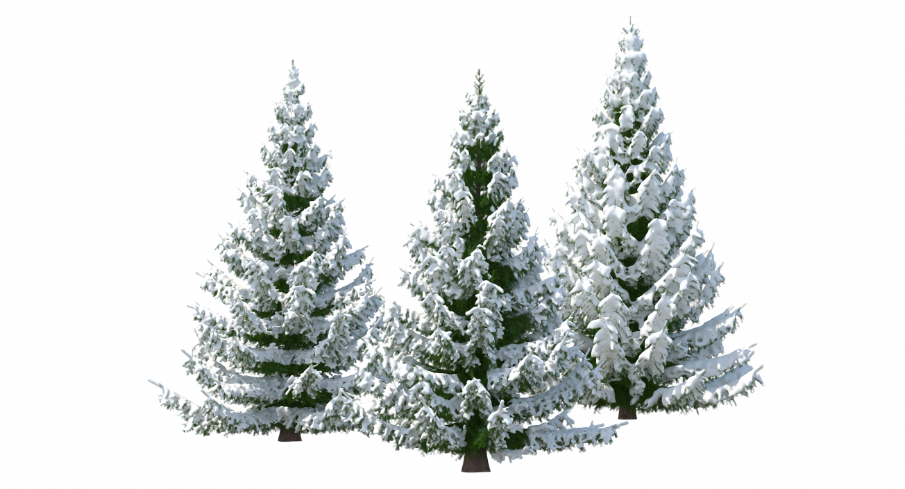 3D model Spruce in Snow Collection