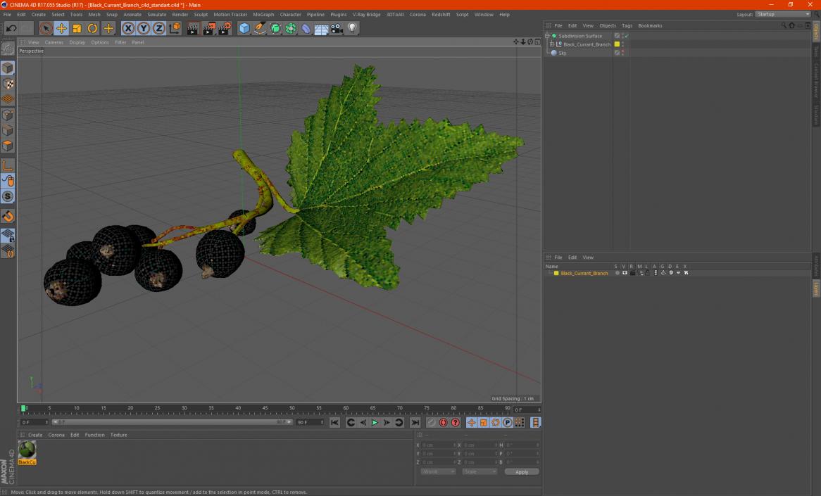 3D model Black Currant Branch