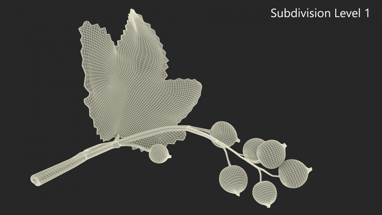 3D model Black Currant Branch