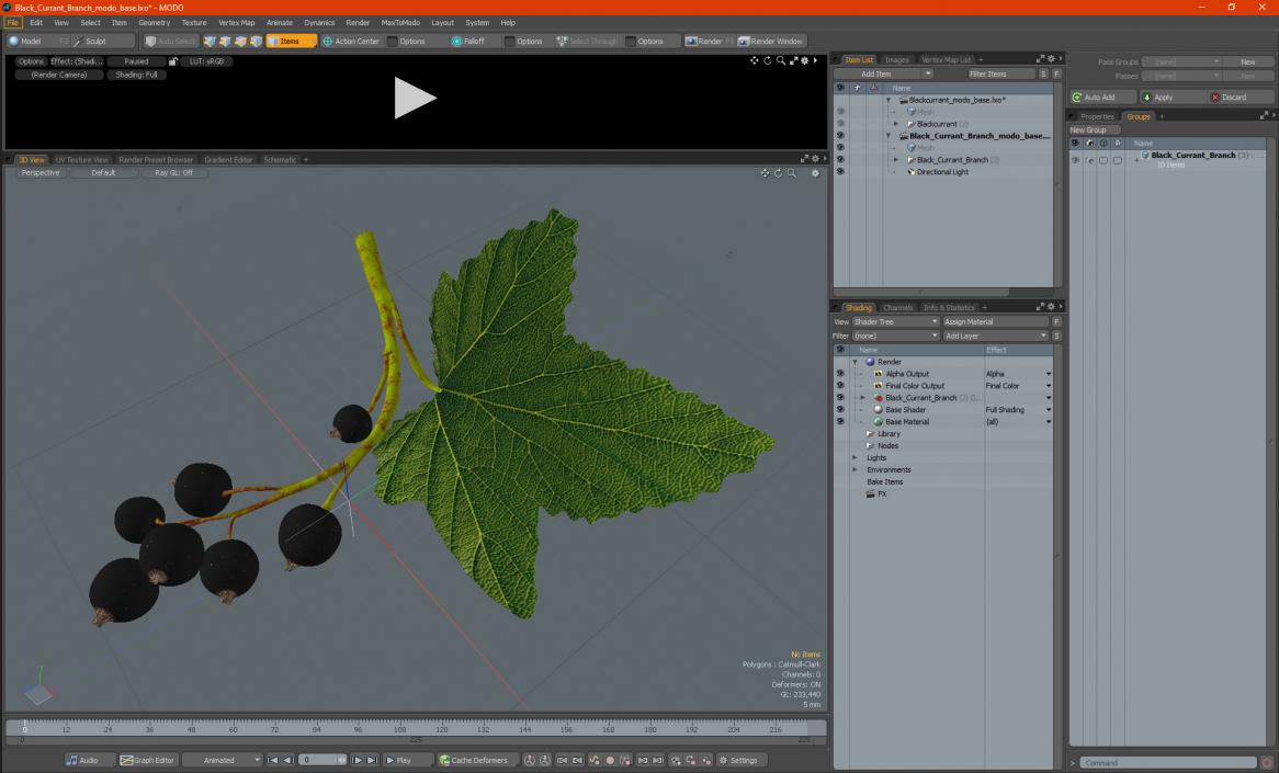 3D model Black Currant Branch