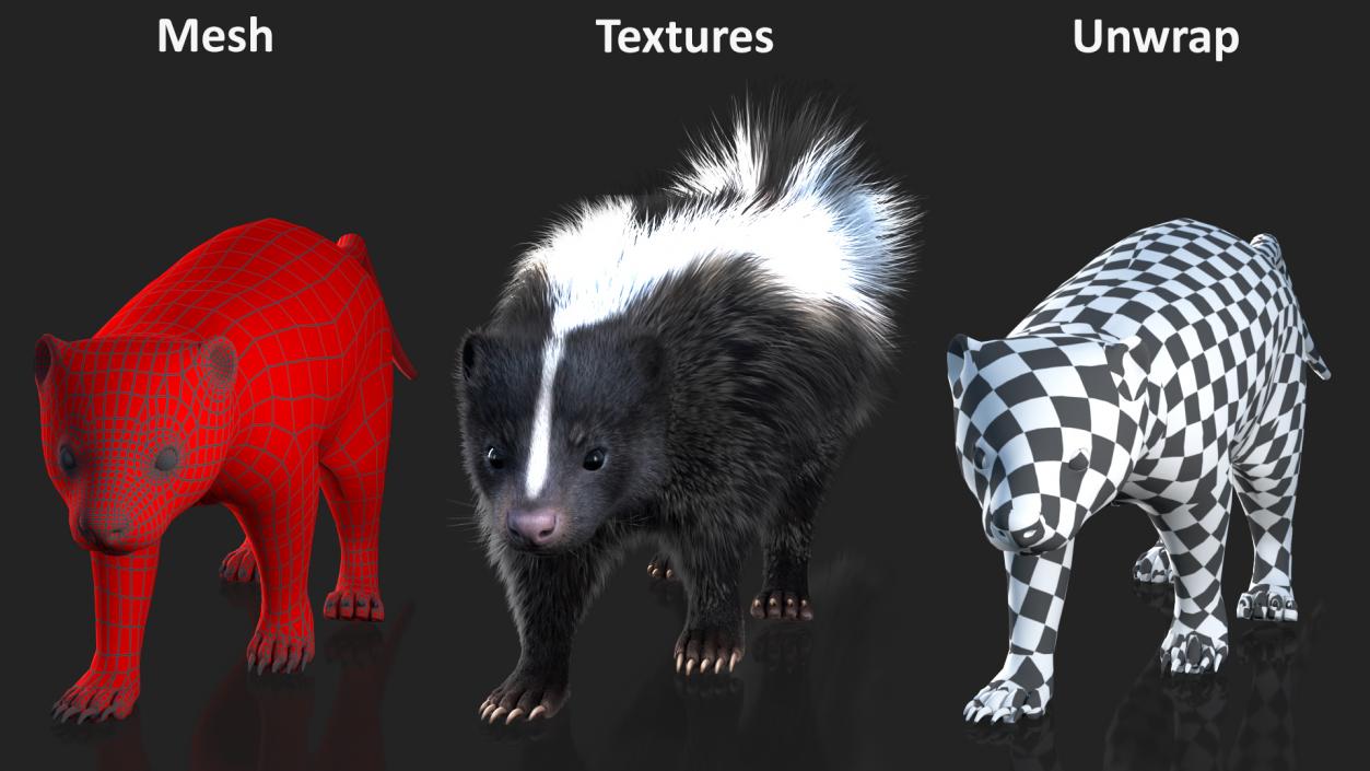 Walk Skunk Fur 3D model