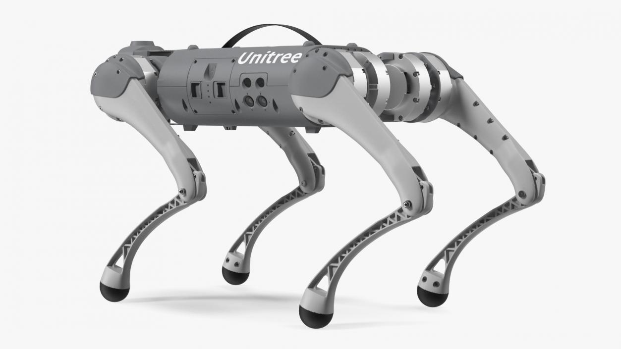 3D Robot Unitree Go1 Silver Rigged