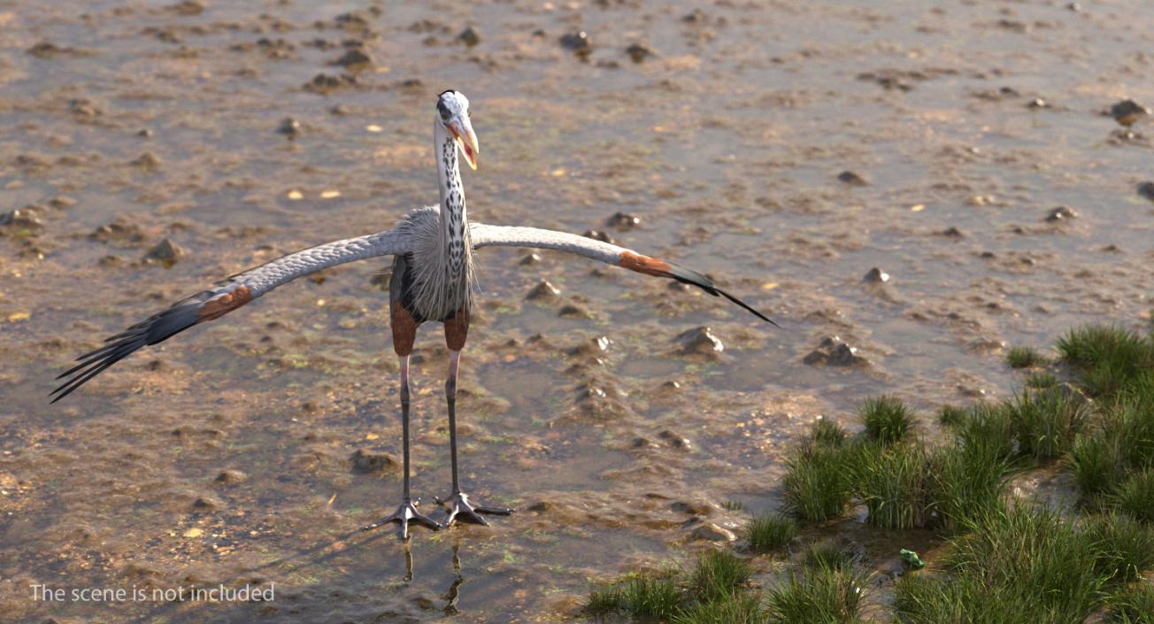 3D Great Blue Heron