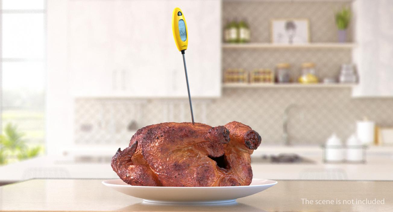 Cooking Thermometer with Roasted Turkey 3D model