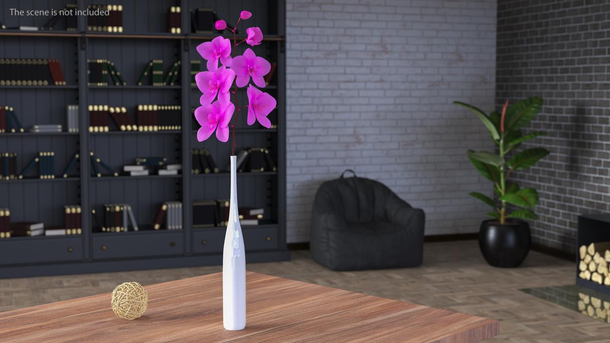 Pink Orchid Stem in Tall Vase 3D model