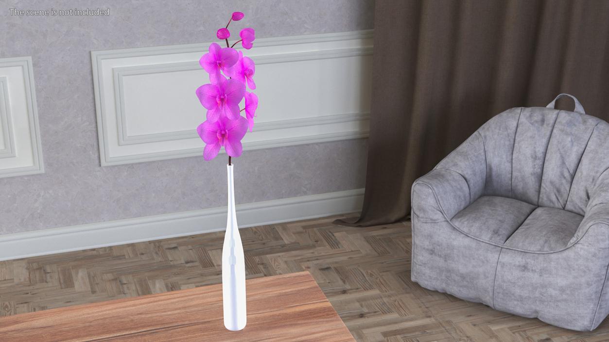 Pink Orchid Stem in Tall Vase 3D model