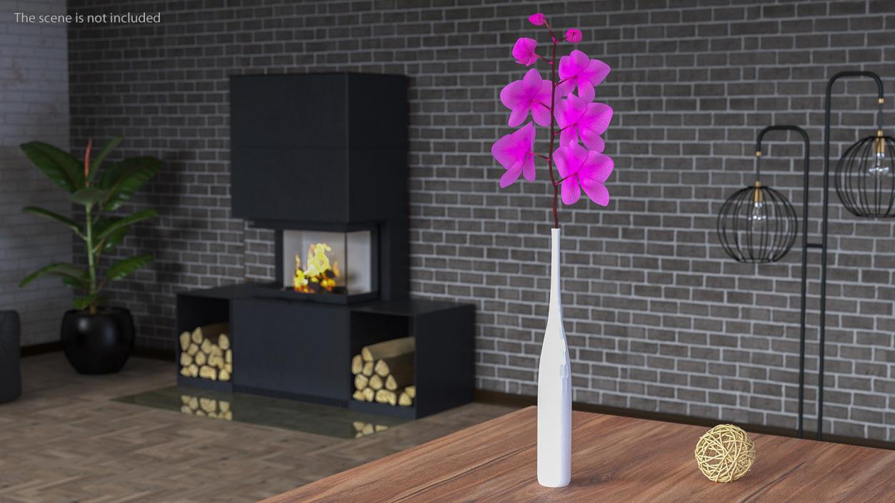 Pink Orchid Stem in Tall Vase 3D model