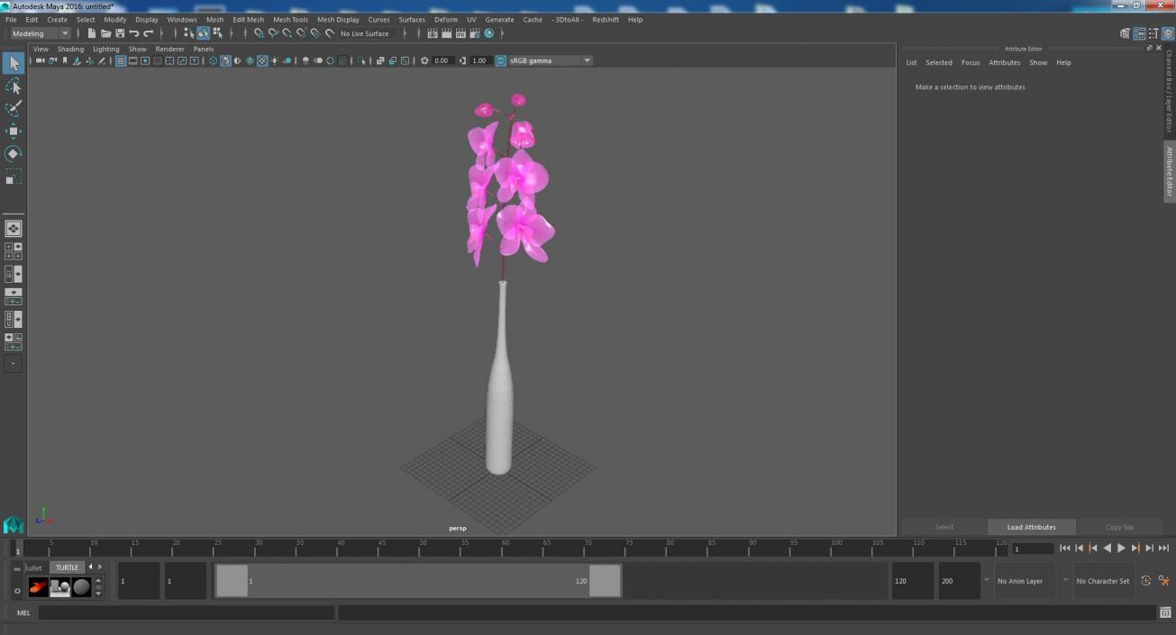 Pink Orchid Stem in Tall Vase 3D model