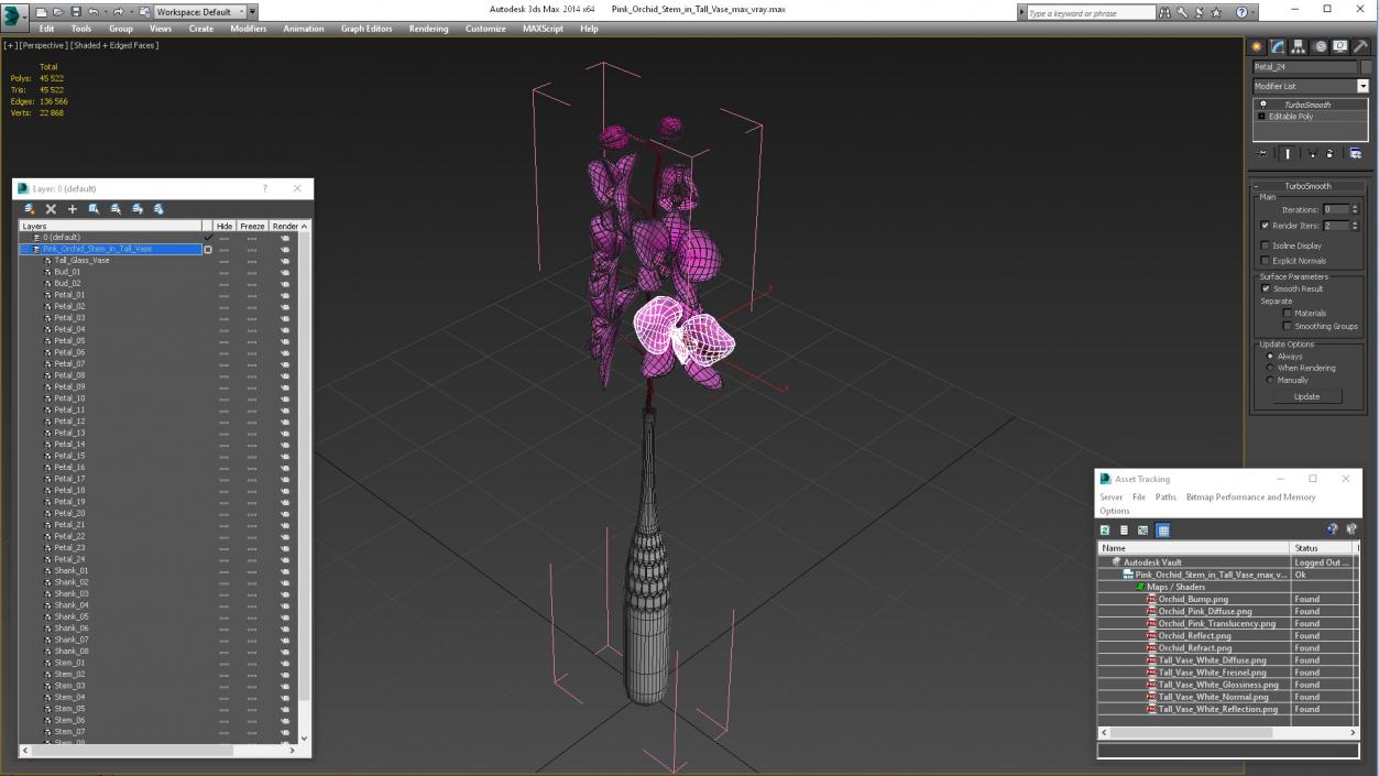 Pink Orchid Stem in Tall Vase 3D model