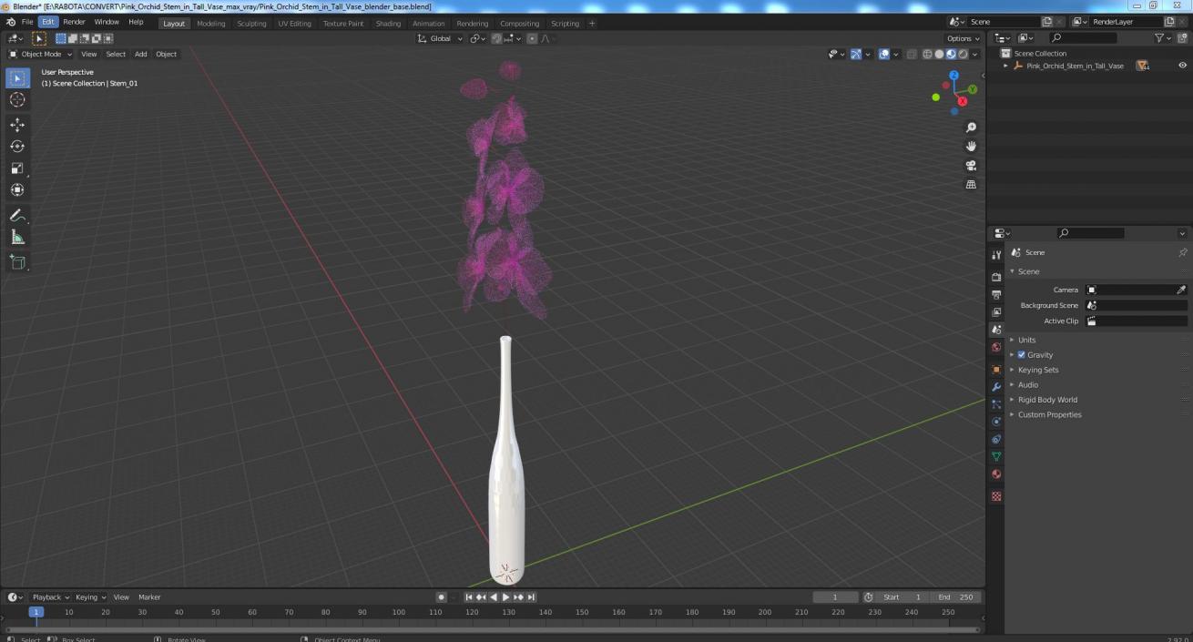 Pink Orchid Stem in Tall Vase 3D model