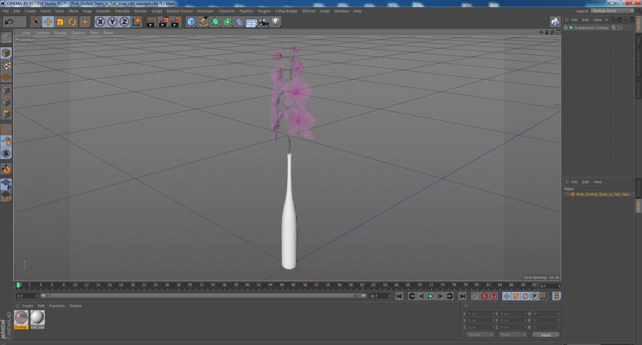 Pink Orchid Stem in Tall Vase 3D model