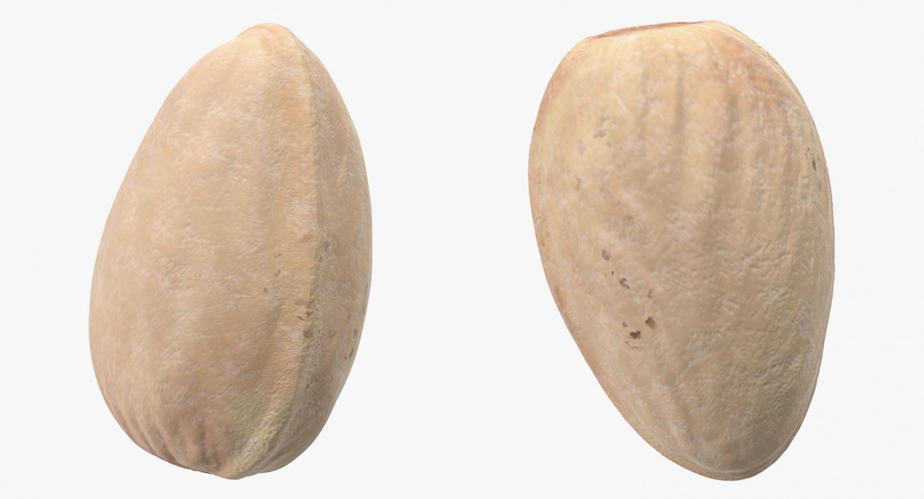 3D Closed Pistachio