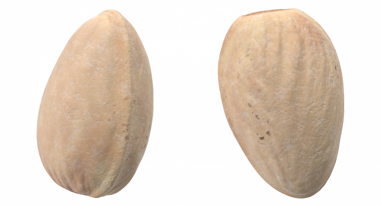 3D Closed Pistachio