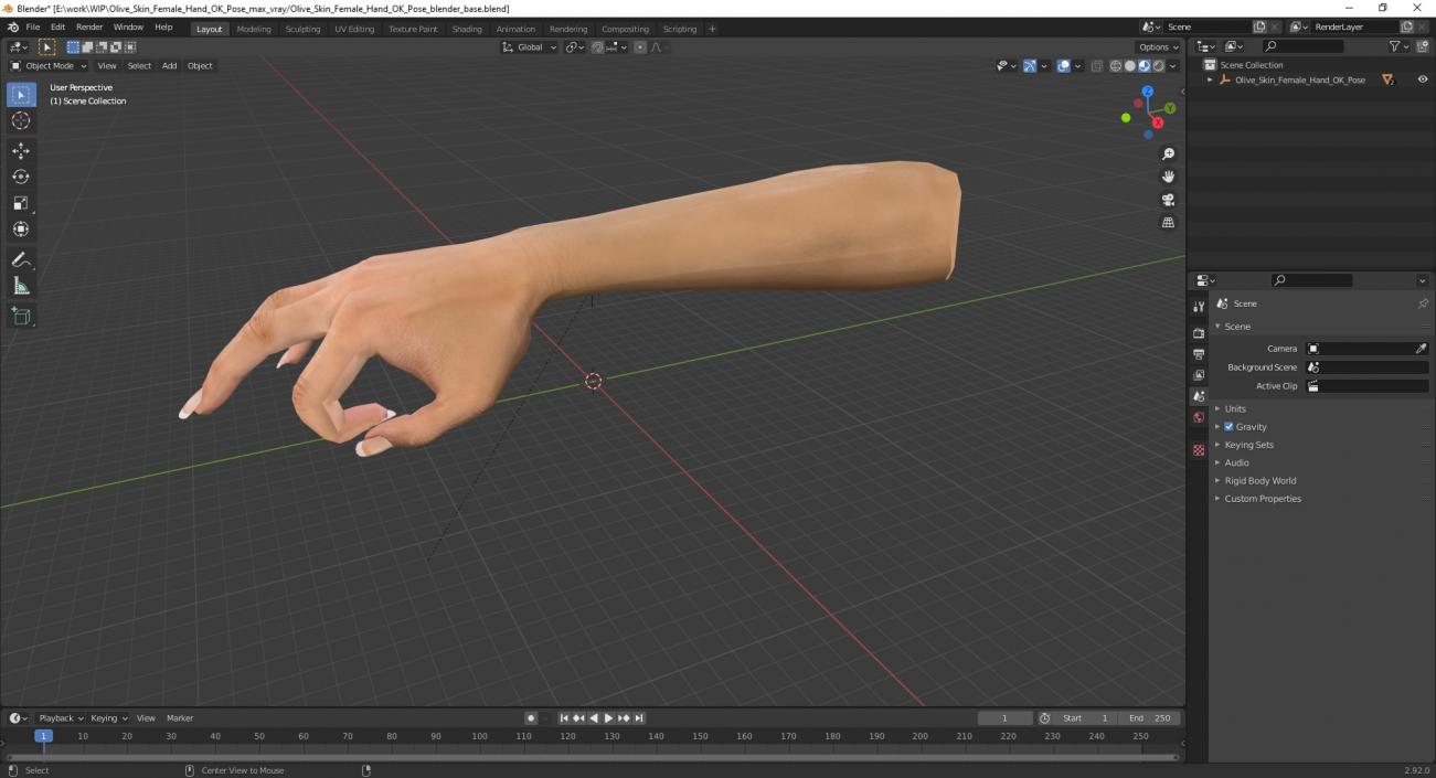 3D model Olive Skin Female Hand OK Pose