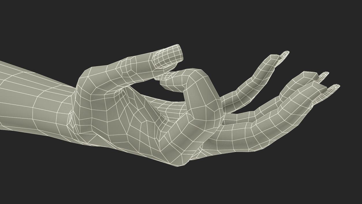 3D model Olive Skin Female Hand OK Pose