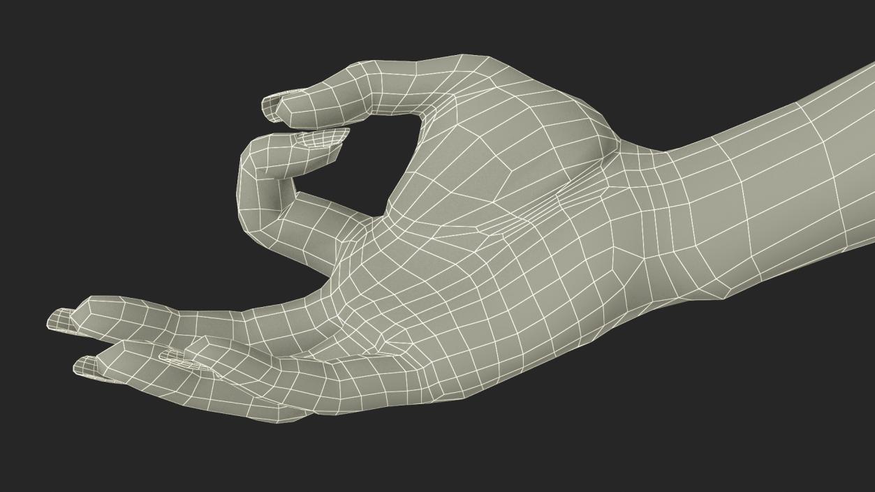 3D model Olive Skin Female Hand OK Pose