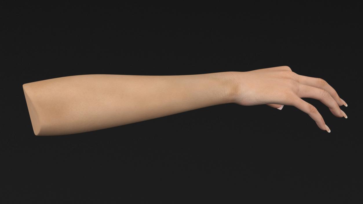 3D model Olive Skin Female Hand OK Pose