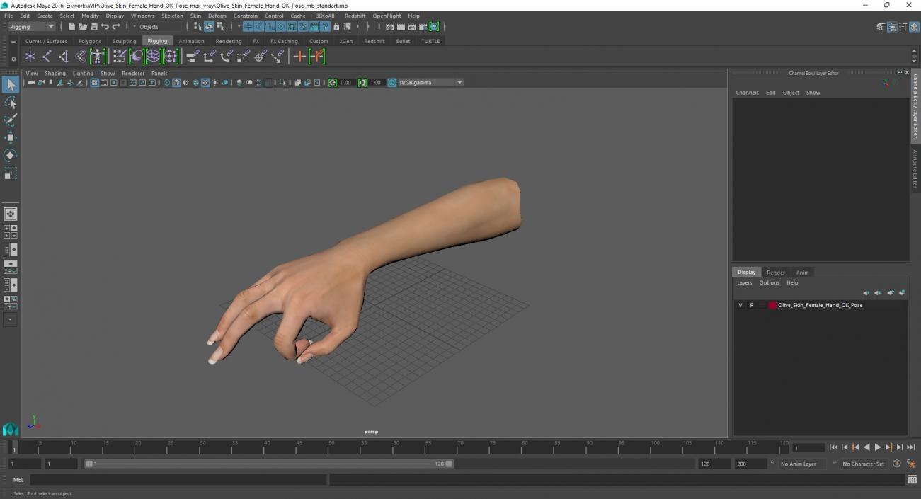 3D model Olive Skin Female Hand OK Pose