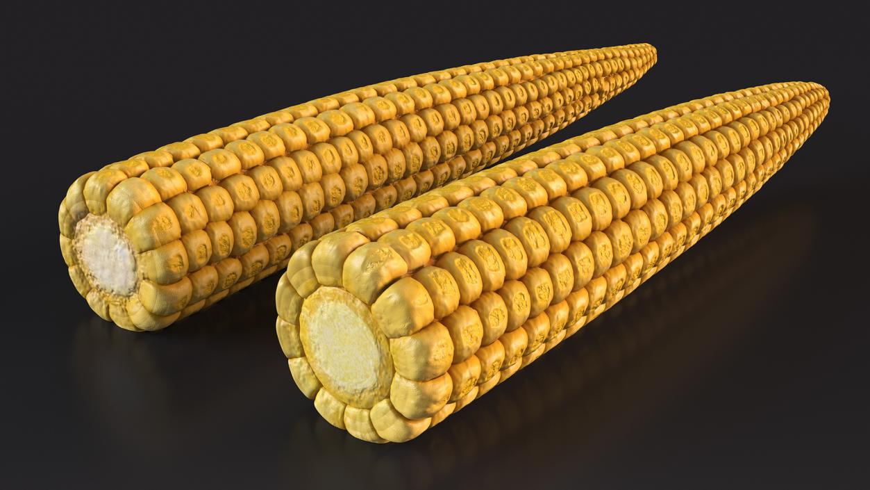 Baby Corn 3D model