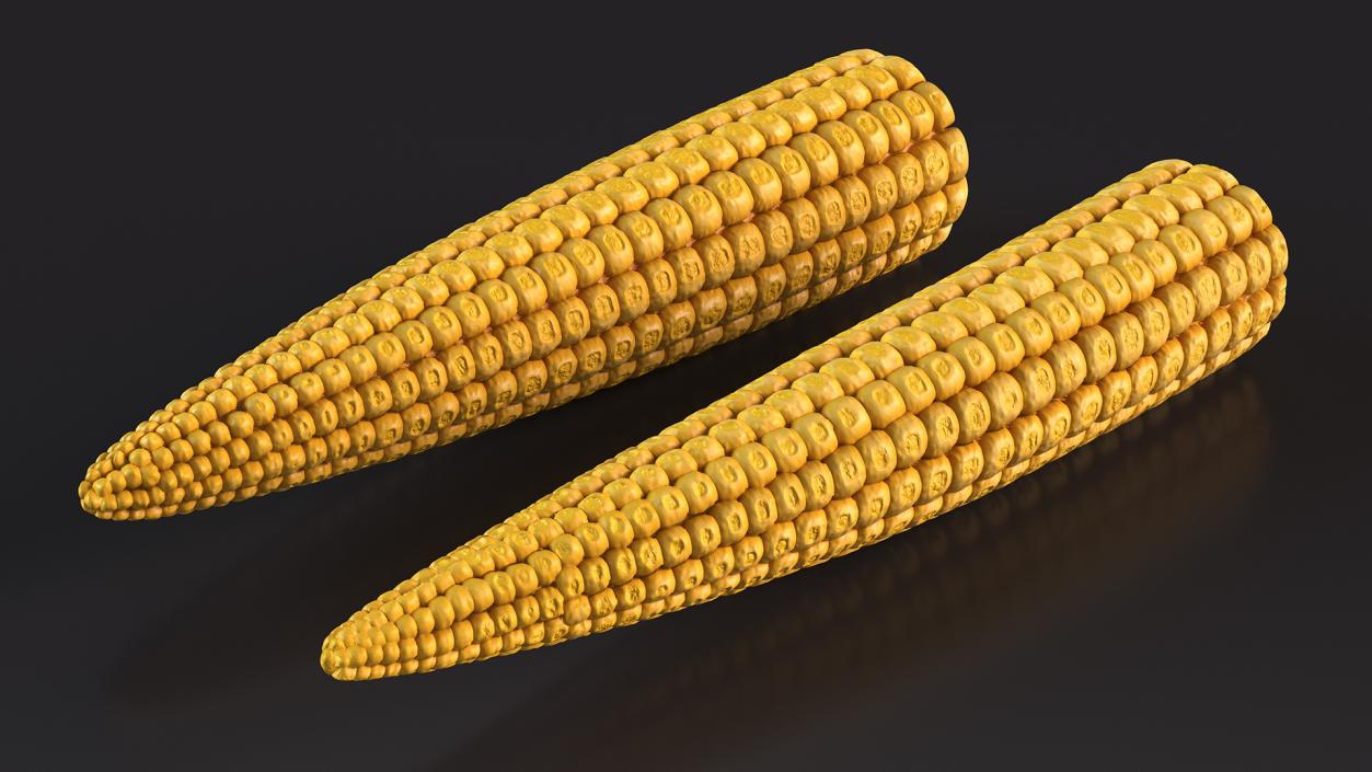 Baby Corn 3D model