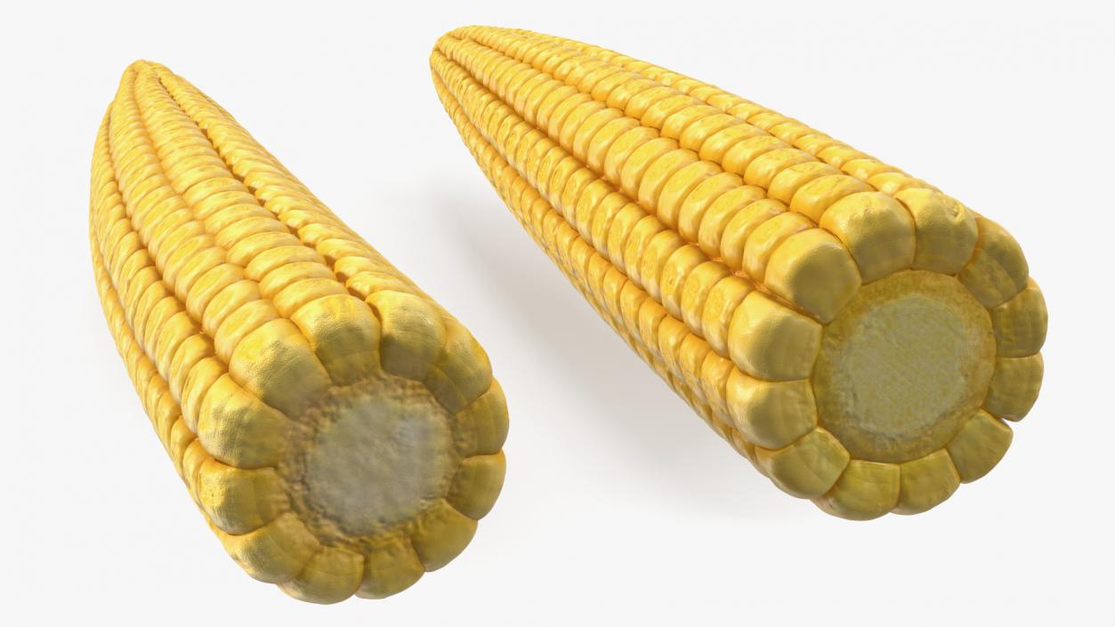 Baby Corn 3D model