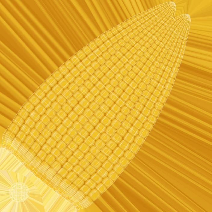 Baby Corn 3D model