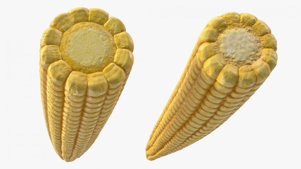 Baby Corn 3D model