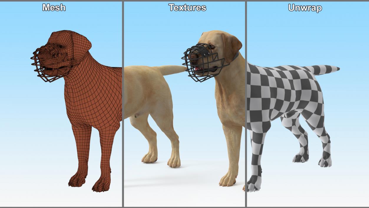 3D model Labrador Dog White with Muzzle