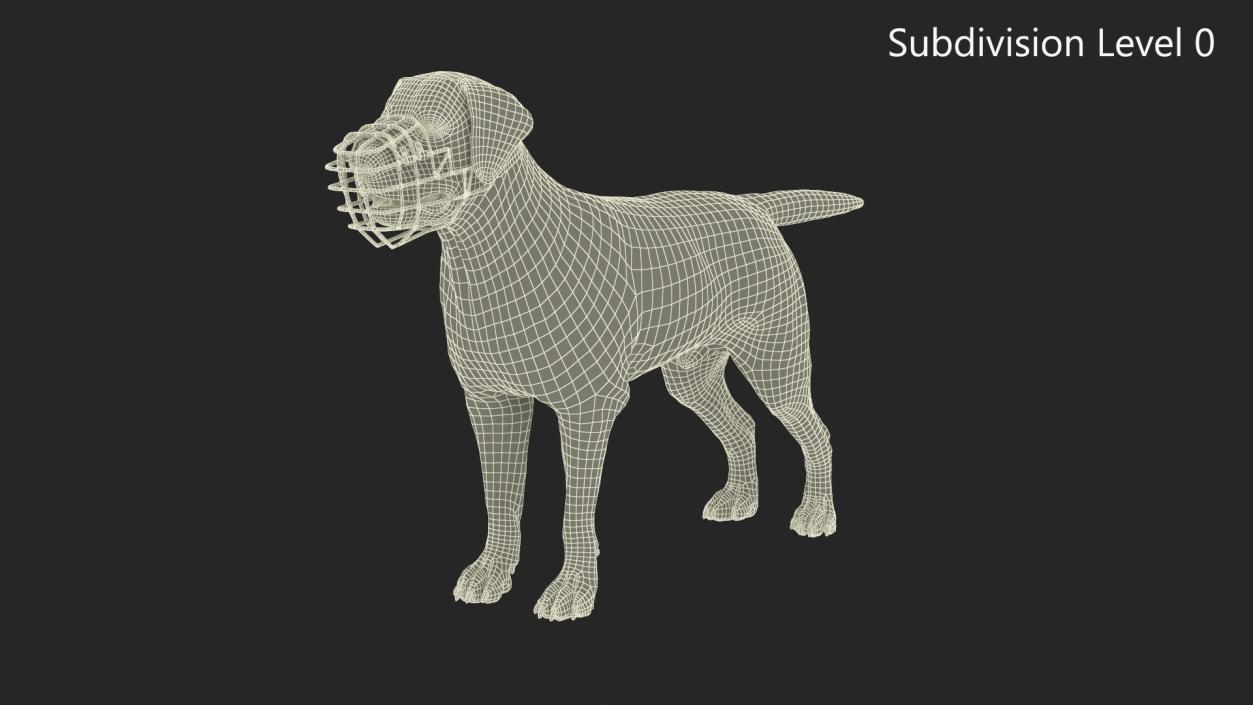 3D model Labrador Dog White with Muzzle