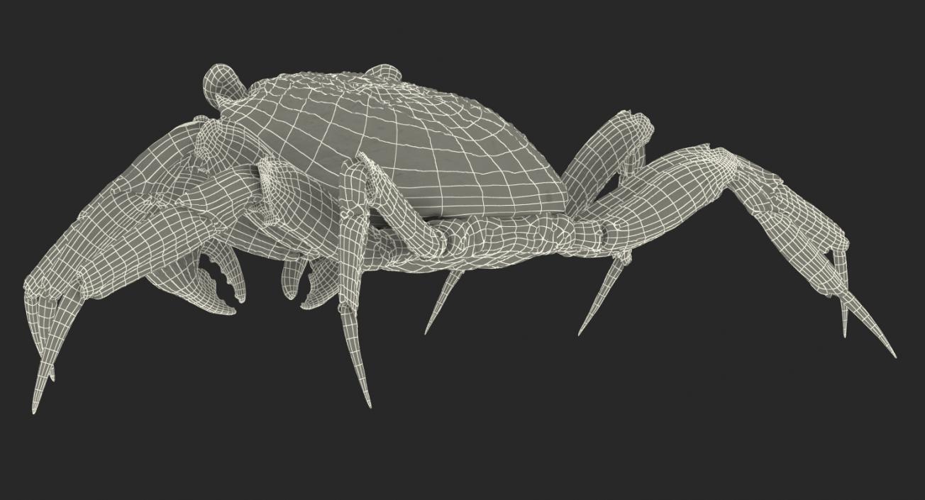 3D Vampire Crab Geosesarma model