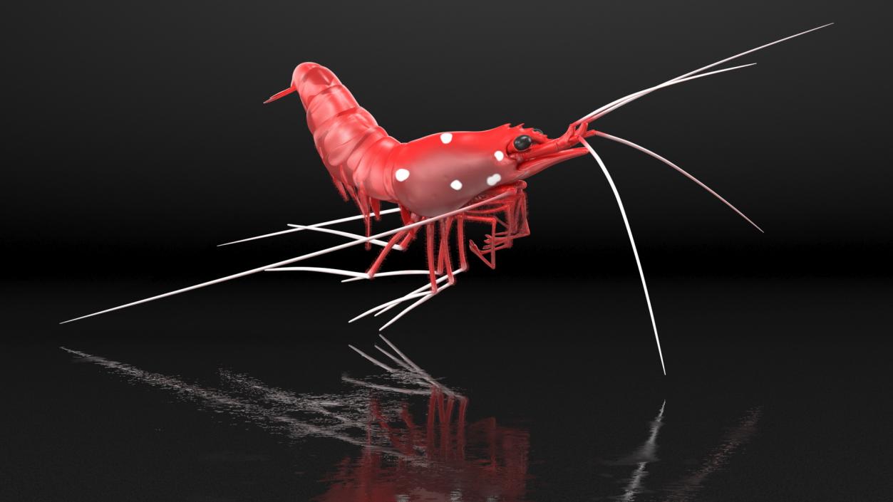 3D model Fire Shrimp Fur