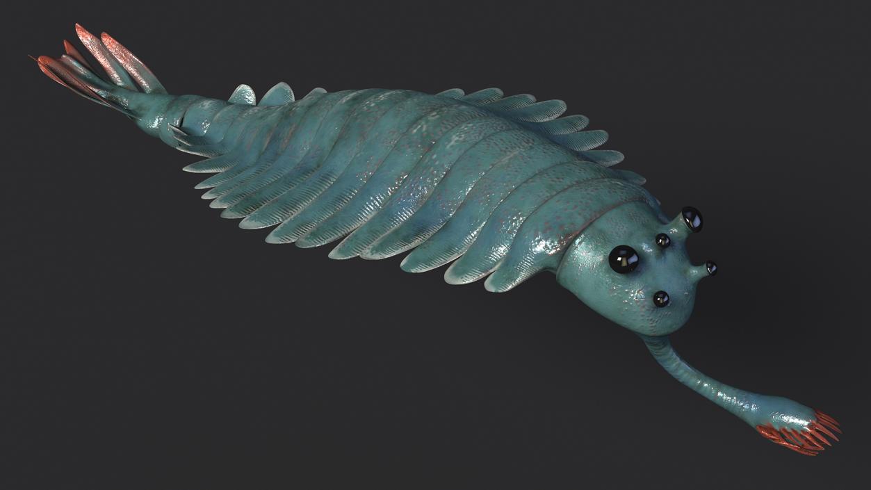 3D Green Opabinia Rigged