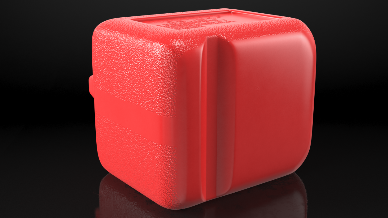 Plastic Gas Can 2 Gallon 3D model