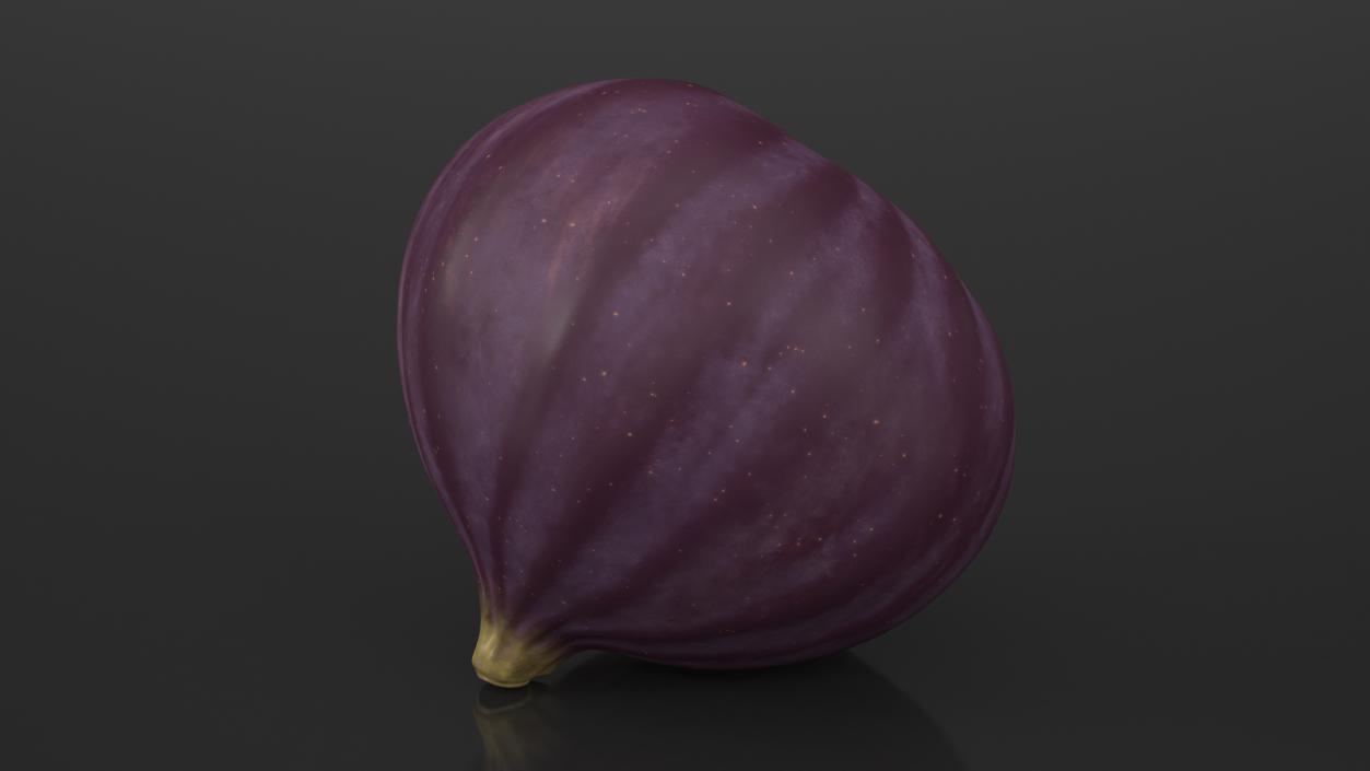 Ripe Fig Fruit(1) 3D