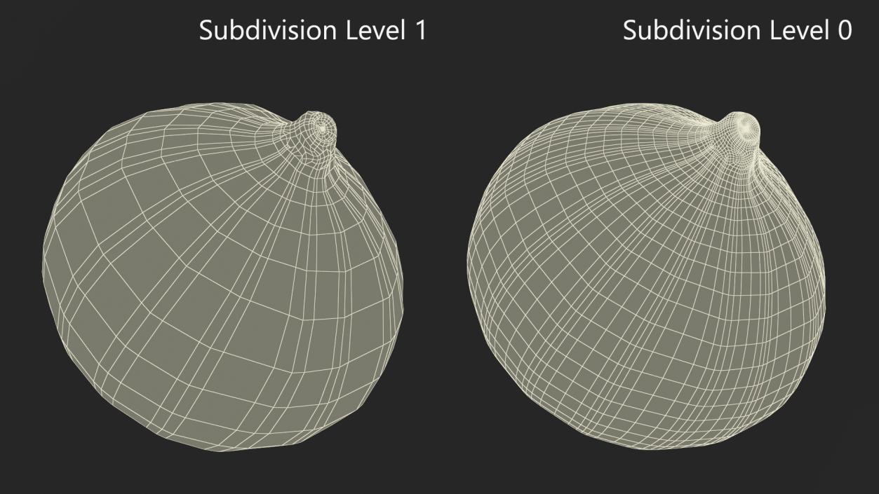 Ripe Fig Fruit(1) 3D