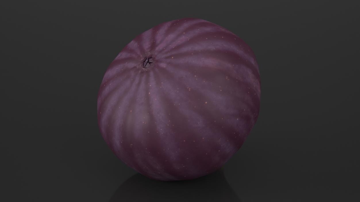 Ripe Fig Fruit(1) 3D