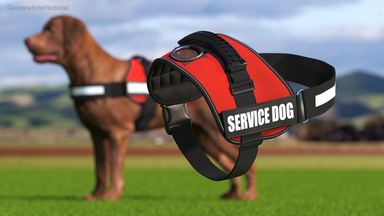 3D model Service Dog Vest Fur