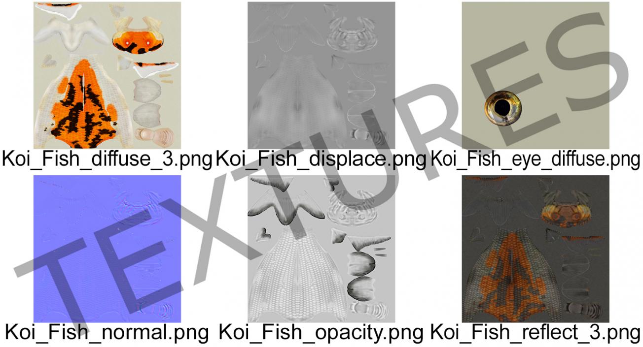 3D model Koi Fish