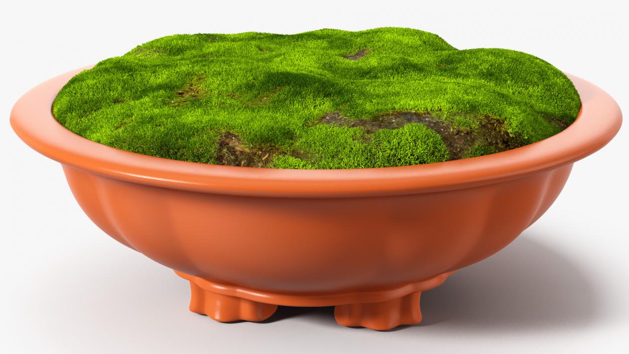 Flower Pot with Soil Fur 3D model