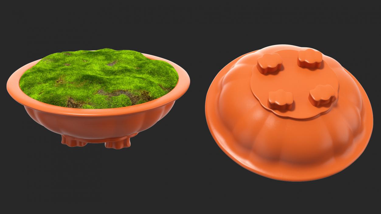 Flower Pot with Soil Fur 3D model