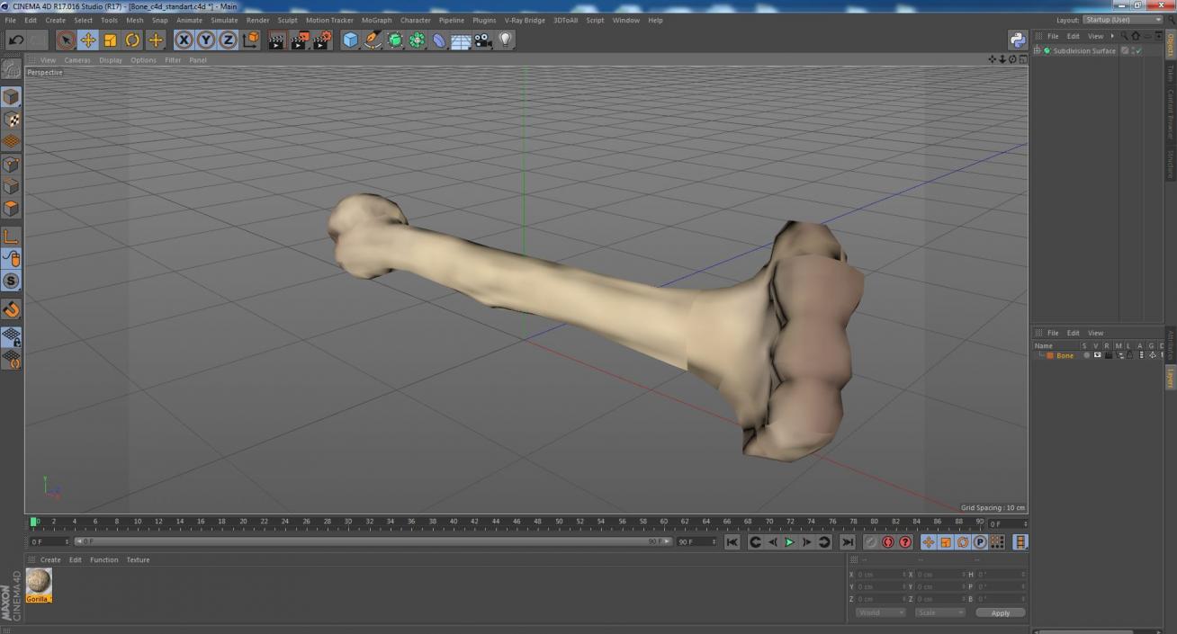 3D model Bone